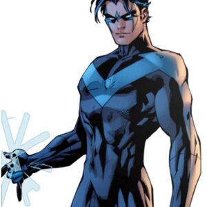 Dick Grayson Nightwing Black Leather Jacket